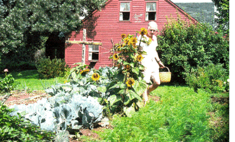 The Organic Gardener's Guide to Pest Control Image